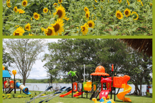 EL ENCANTO LAS FLORES DE LAGO